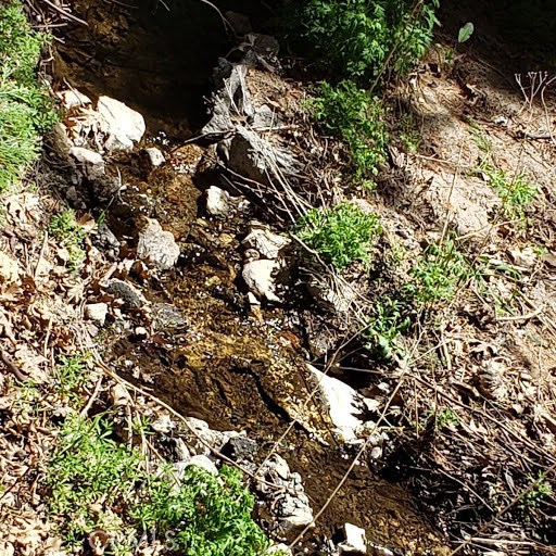 Hook Creek Road, Cedar Glen, CA, 92321 Hook Creek Road