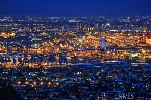 Sparkling Night View