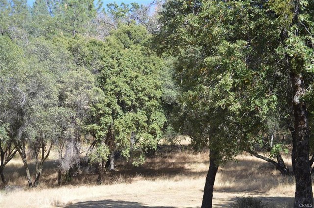 5 Woodcrest Drive