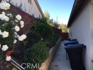 Side yard with fruit trees