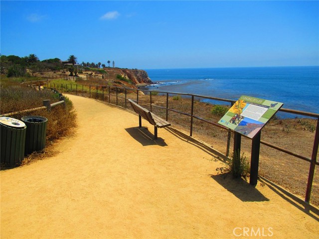 Walk down and enjoy the trail along the bluff through the protected Vincente Bluffs Nature Reserve.