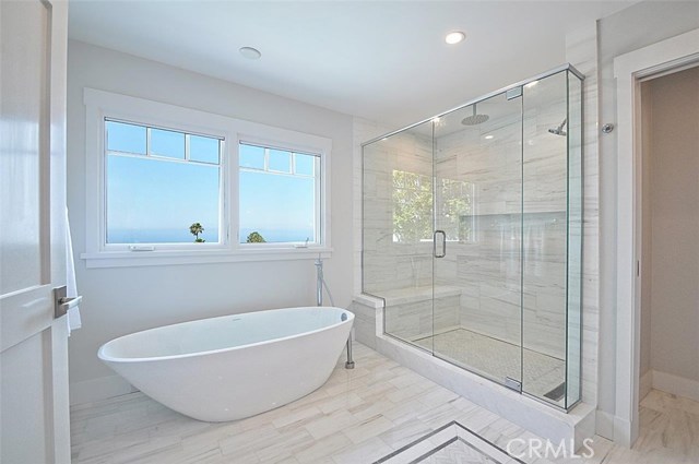 Tub & Shower in Master Bathroom