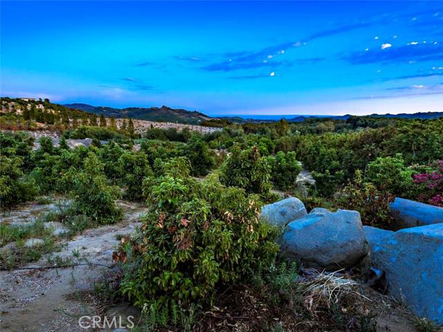 23795 SERRENO ,Temecula,CA 92590, USA