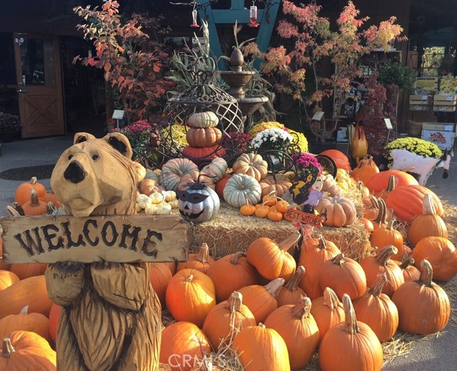 Golden Oak, 93644, ,Commercial,For Sale,Golden Oak,FR20186354