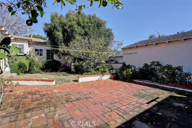 Backyard with Lots of Room