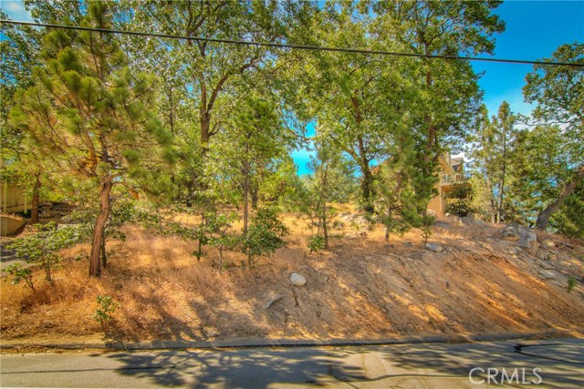 1393 Sequoia Drive