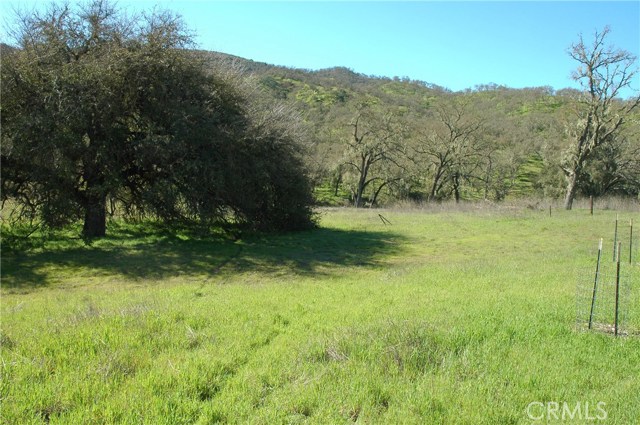 0 Nacimiento Lake Drive, 93446, ,For Sale,Nacimiento Lake,NS19046760