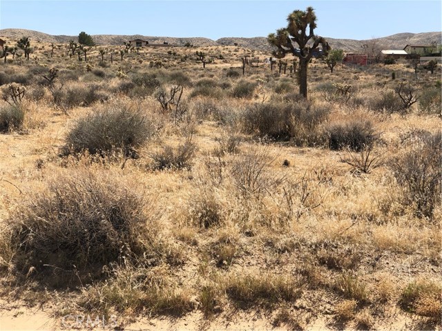 Mojave, 92308, ,For Sale,Mojave,IV18110663