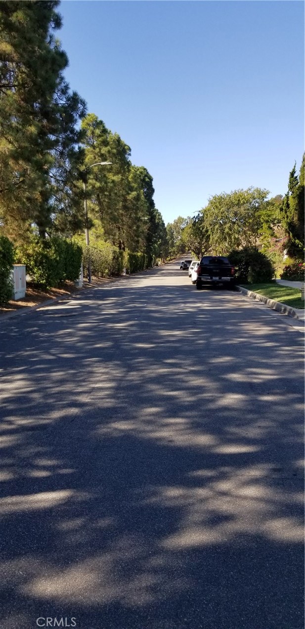 This is the quiet street in front of the house with a large hedge along it