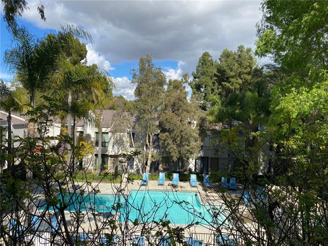View from the patio