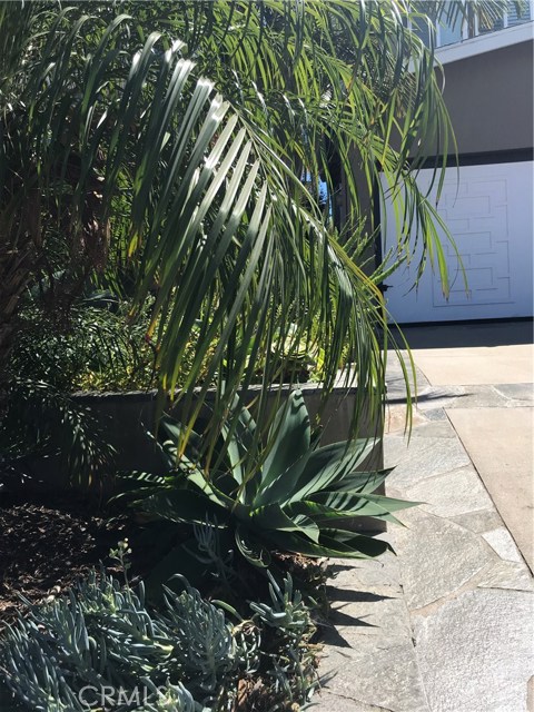 1632 Van Horne Lane, Redondo Beach, California 90278, 3 Bedrooms Bedrooms, ,2 BathroomsBathrooms,Residential,Sold,Van Horne,SB18211629