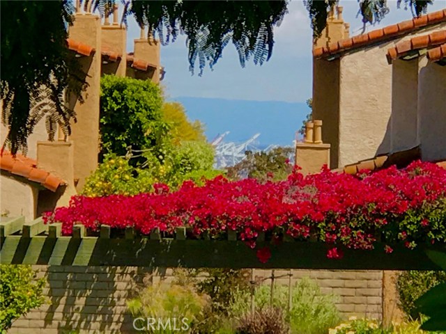 view to cranes in harbor from living room view to cranes in harbor from living room