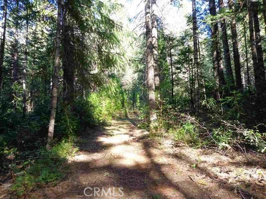 13193 Oroquincy Highway, Berry Creek, CA, 95916 13193 Oroquincy Highway