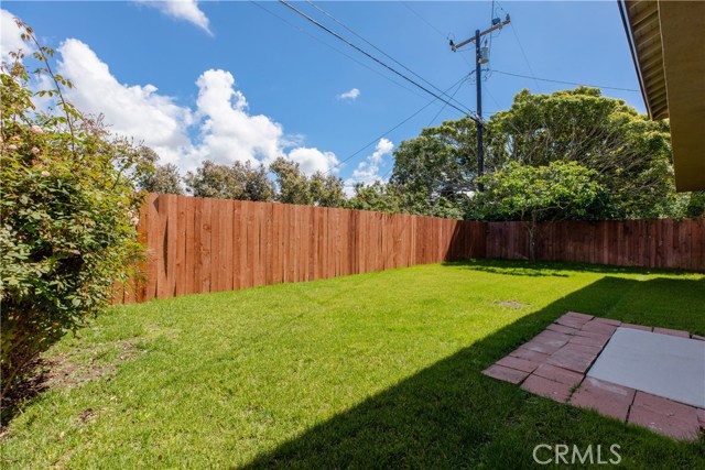 The backyard is lush and spacious. New fencing creates privacy and mature trees are flourishing.