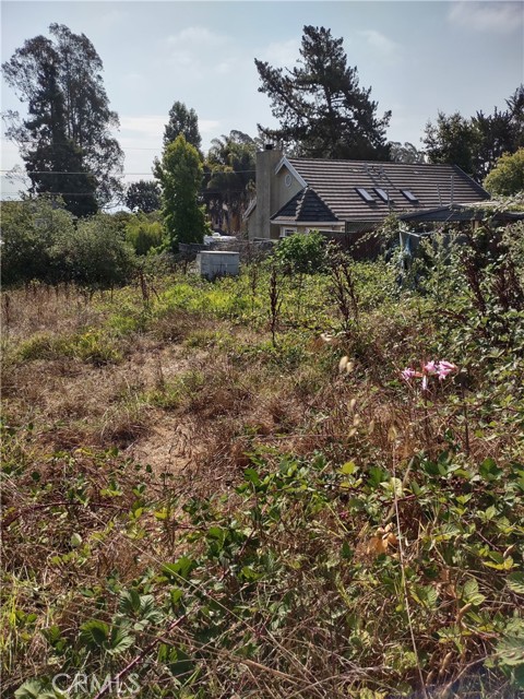 Detail Gallery Image 10 of 11 For 32 Crow Ave, Watsonville,  CA 95076 - – Beds | – Baths