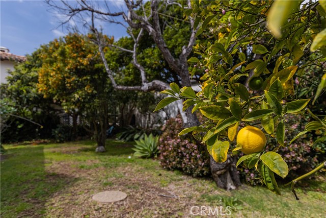 1023 1st Street, Manhattan Beach, California 90266, 2 Bedrooms Bedrooms, ,1 BathroomBathrooms,Residential,Sold,1st,SB21061855