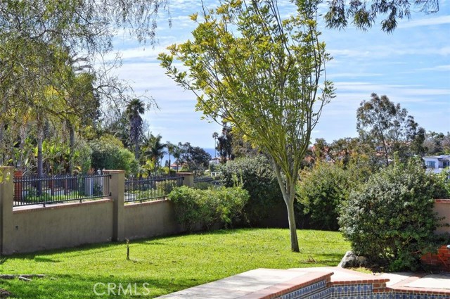Grassy Backyard