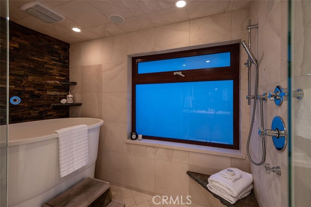 Master bathroom shower and soaking tub