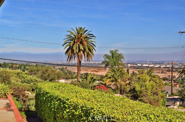 View looking North from Patio.