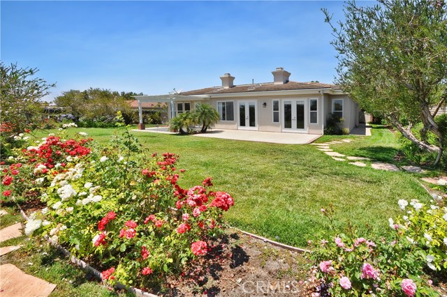 Huge Grassy Backyard with Rose Garden