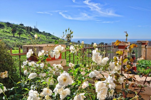 48 Via Capri, Rancho Palos Verdes, California 90275, 3 Bedrooms Bedrooms, ,1 BathroomBathrooms,Residential,Sold,Via Capri,PV19014774