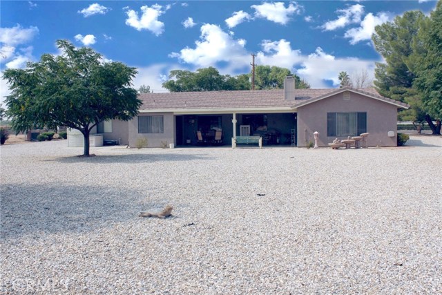 Real Estate Photo
