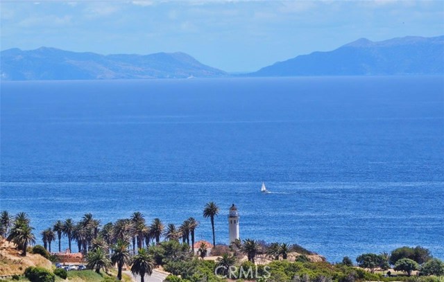 Pointe Vincente & Catalina View