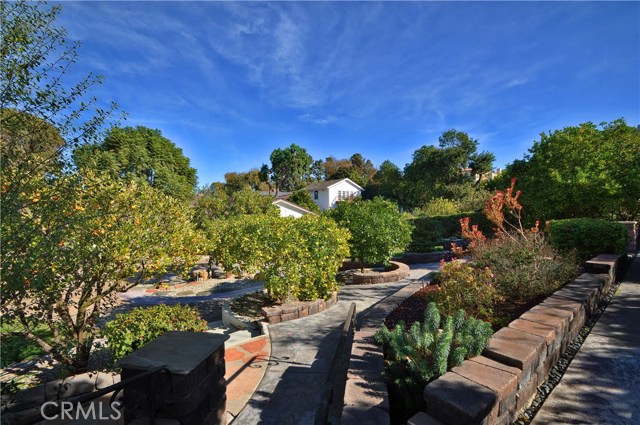 Walkways Throughout the Back Gardens