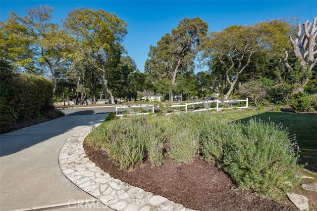 View of front yard and parkland across the street.