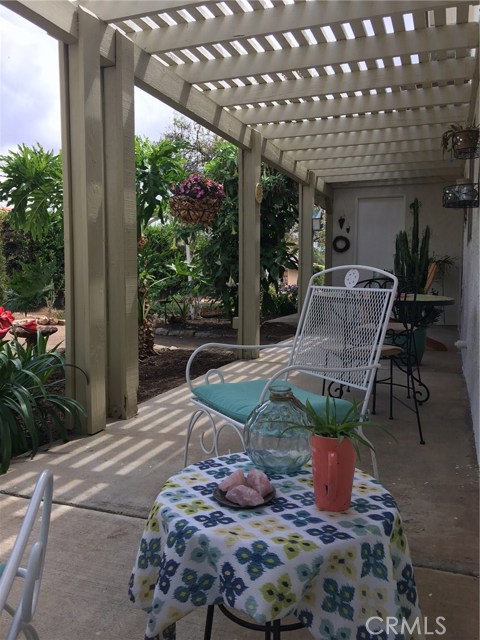 Back Yard Patio