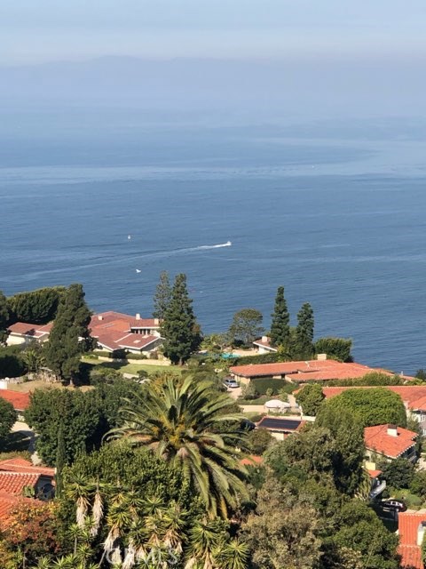 2545 Via Campesina, Palos Verdes Estates, California 90274, 2 Bedrooms Bedrooms, ,2 BathroomsBathrooms,Residential,Sold,Via Campesina,SB20260526