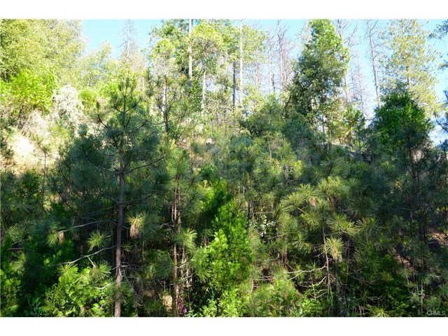 50 Dogwood Creek Drive