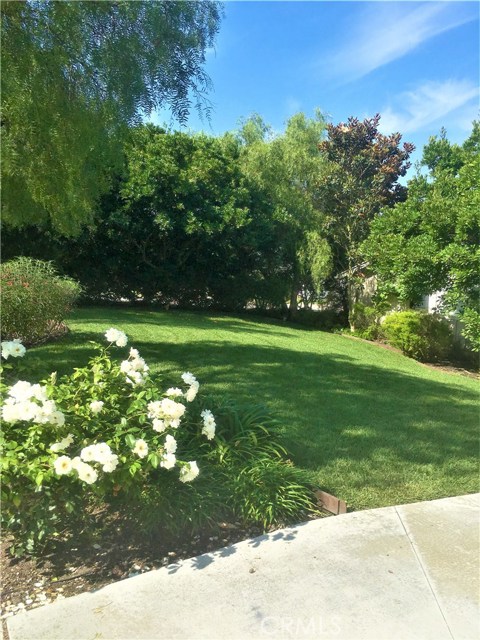 1517 Palos Verdes Drive, Palos Verdes Estates, California 90274, 3 Bedrooms Bedrooms, ,2 BathroomsBathrooms,Residential,Sold,Palos Verdes,PV18193729