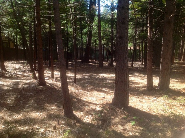 Northwood Drive