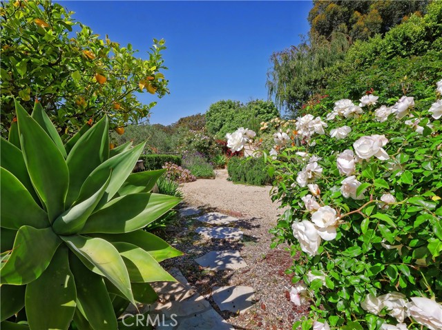 2605 Via Campesina, Palos Verdes Estates, California 90274, 3 Bedrooms Bedrooms, ,1 BathroomBathrooms,Residential,Sold,Via Campesina,PV21117360