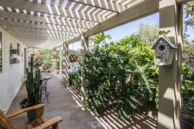 BACK YARD WITH TROPICAL PLANTS.