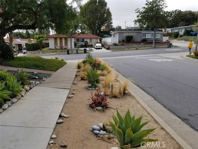 Succulent Landscaping.  Great Rancho Palos Verdes location.