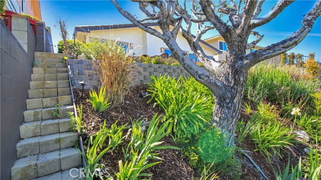 Landscaped slope looking up at house