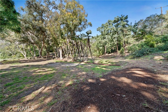 Flat Area east of Guest House and Garage.