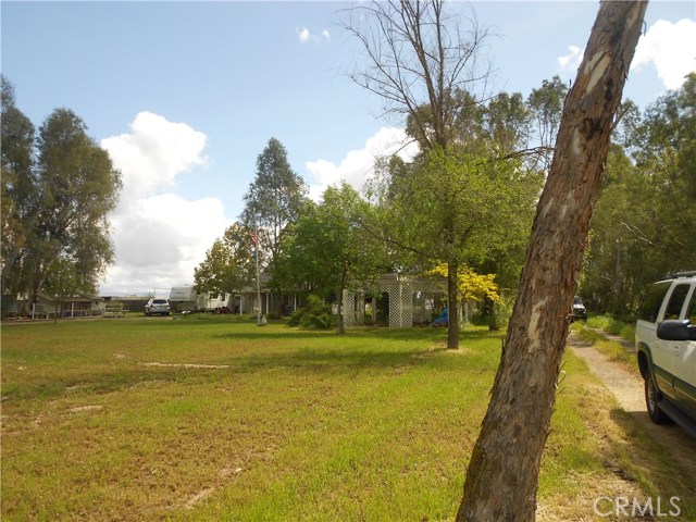 Large front yard.