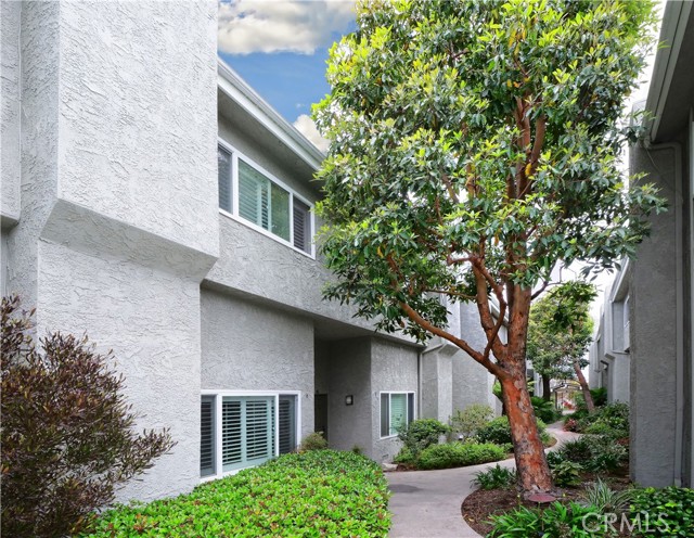 Lush walkway through complex to front gated entry and pool.