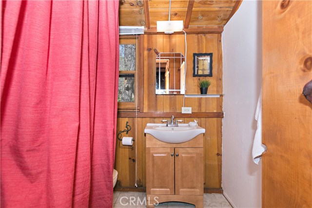 Downstairs bathroom with shower