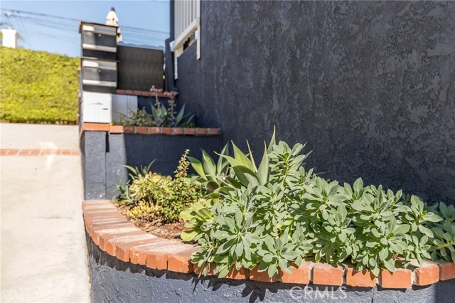 flower beds along the side of the house