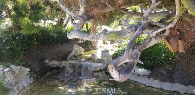 GORGEOUS MATURE SHADE TREES EVERYWHERE