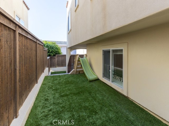Back yard