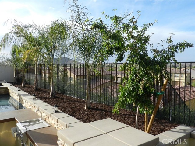 PALM & FRUIT TREES