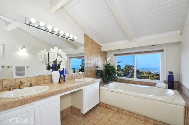 Master Bathroom with View