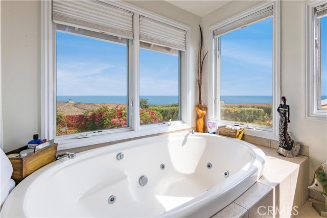 Bathroom spa with views