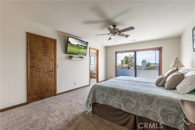 Master Bedroom from double door entry- New carpet