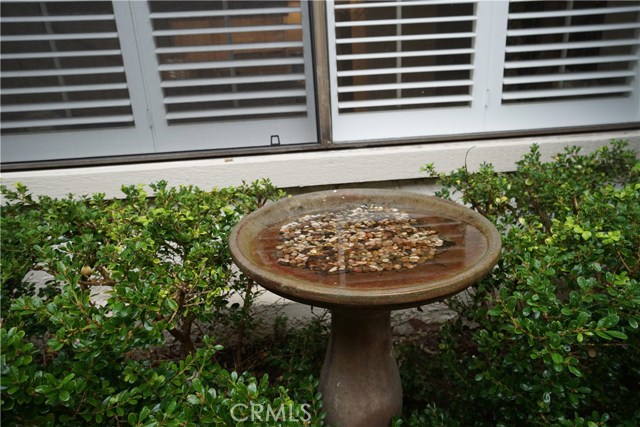 Sweet birdbath in #A's private Courtyard entrance.